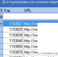 Instrukcja pracy z programem Allsubmitter