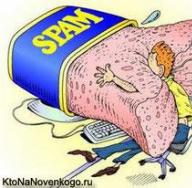 What is spam and how to deal with spammers on the Internet